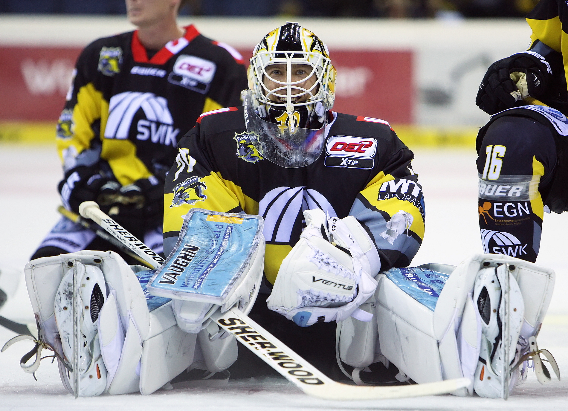 Krefeld Pinguine