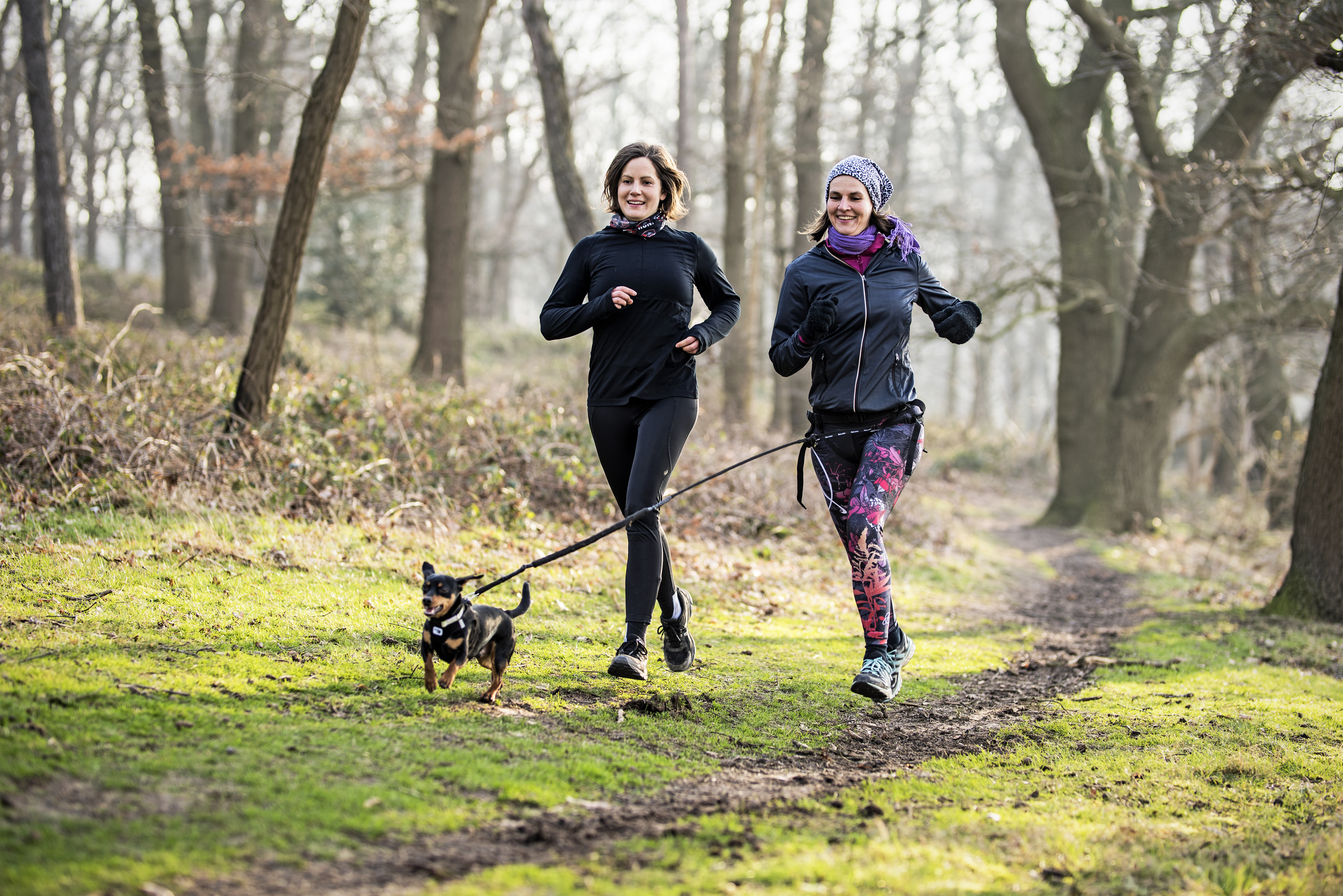 Trainingsspaß mit Hund und Pferd