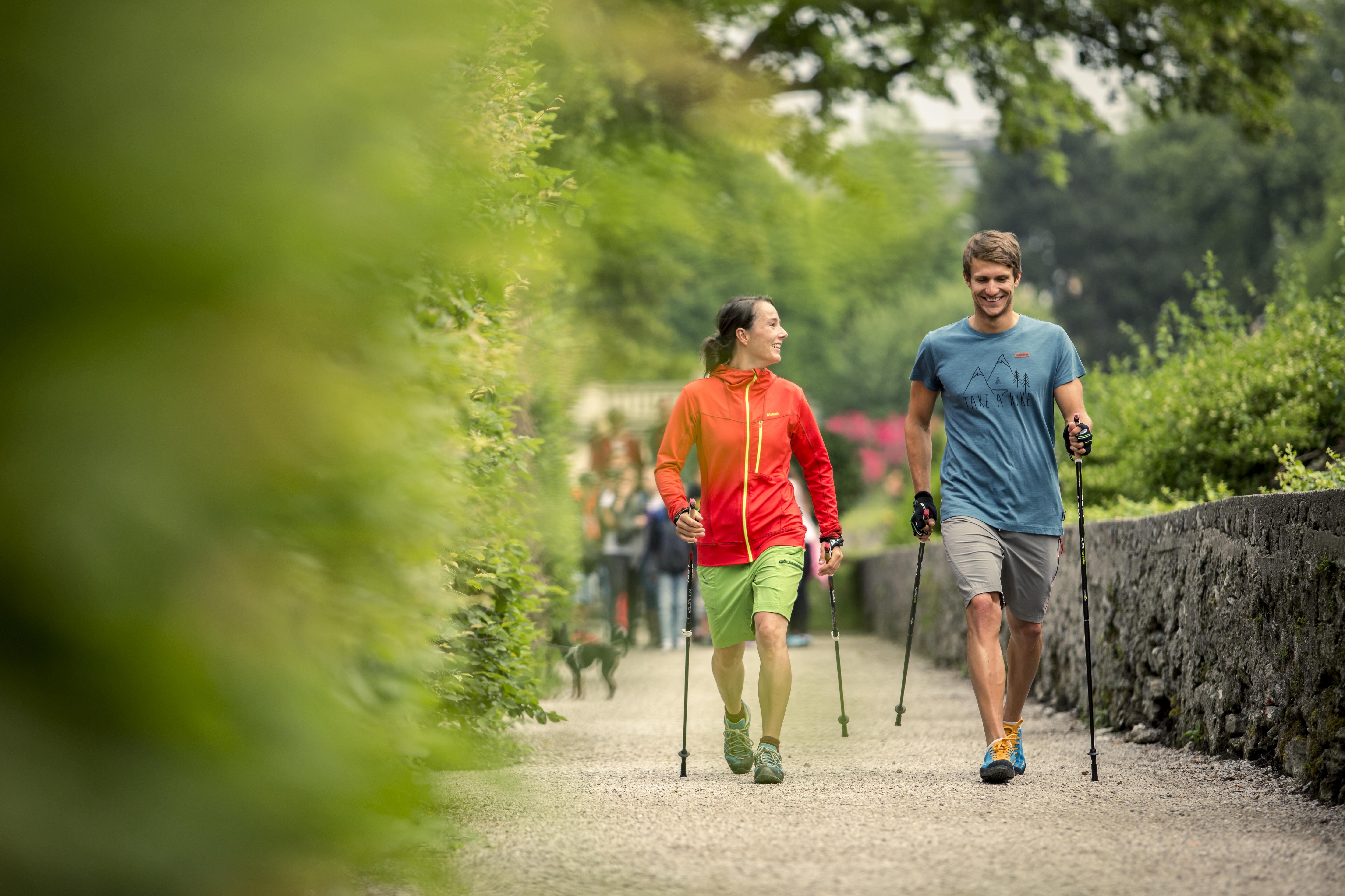 Fit und gesund durch Nordic Walking