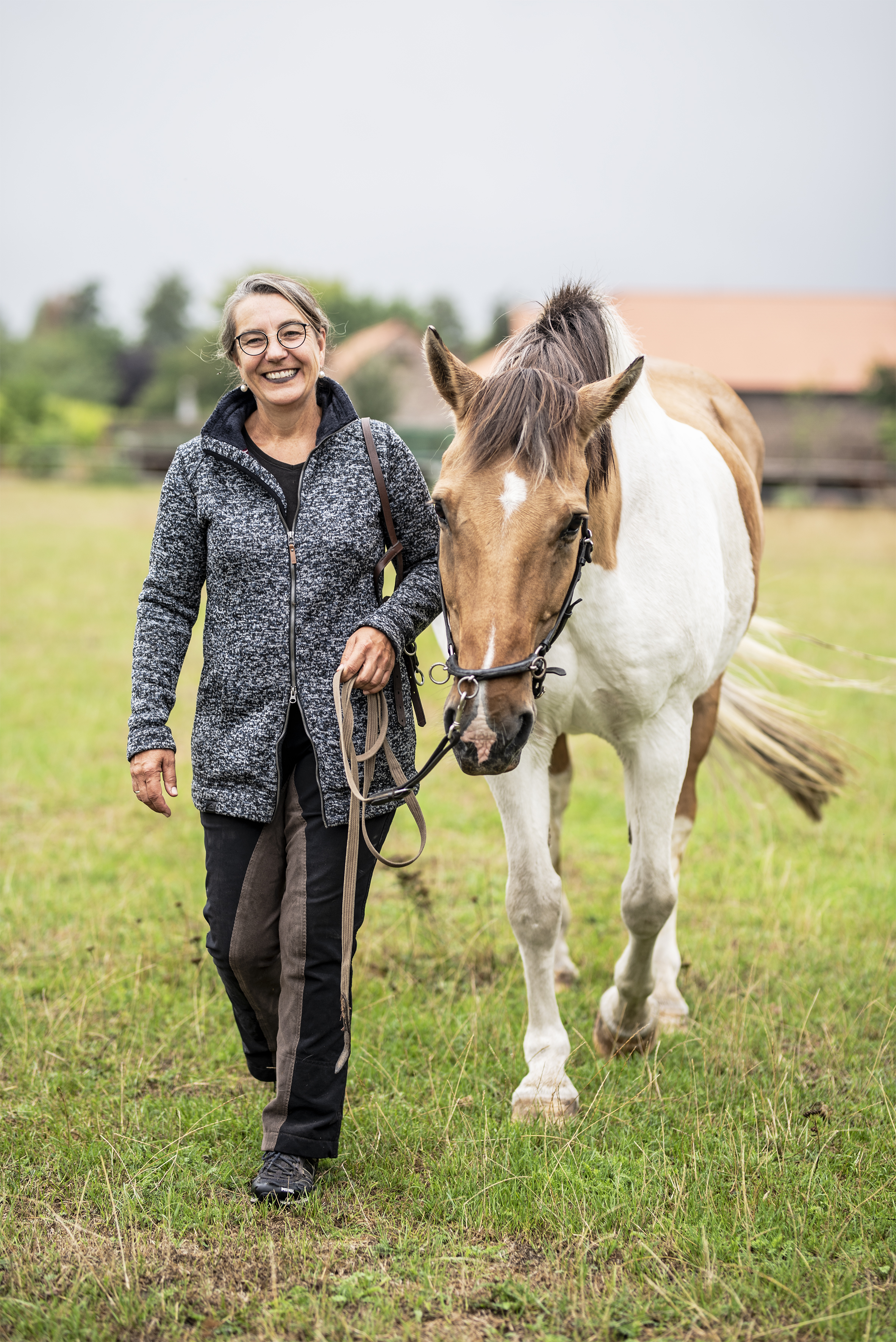 Sanfte Warmblüter nehmen Ängste, Stress & Blockaden