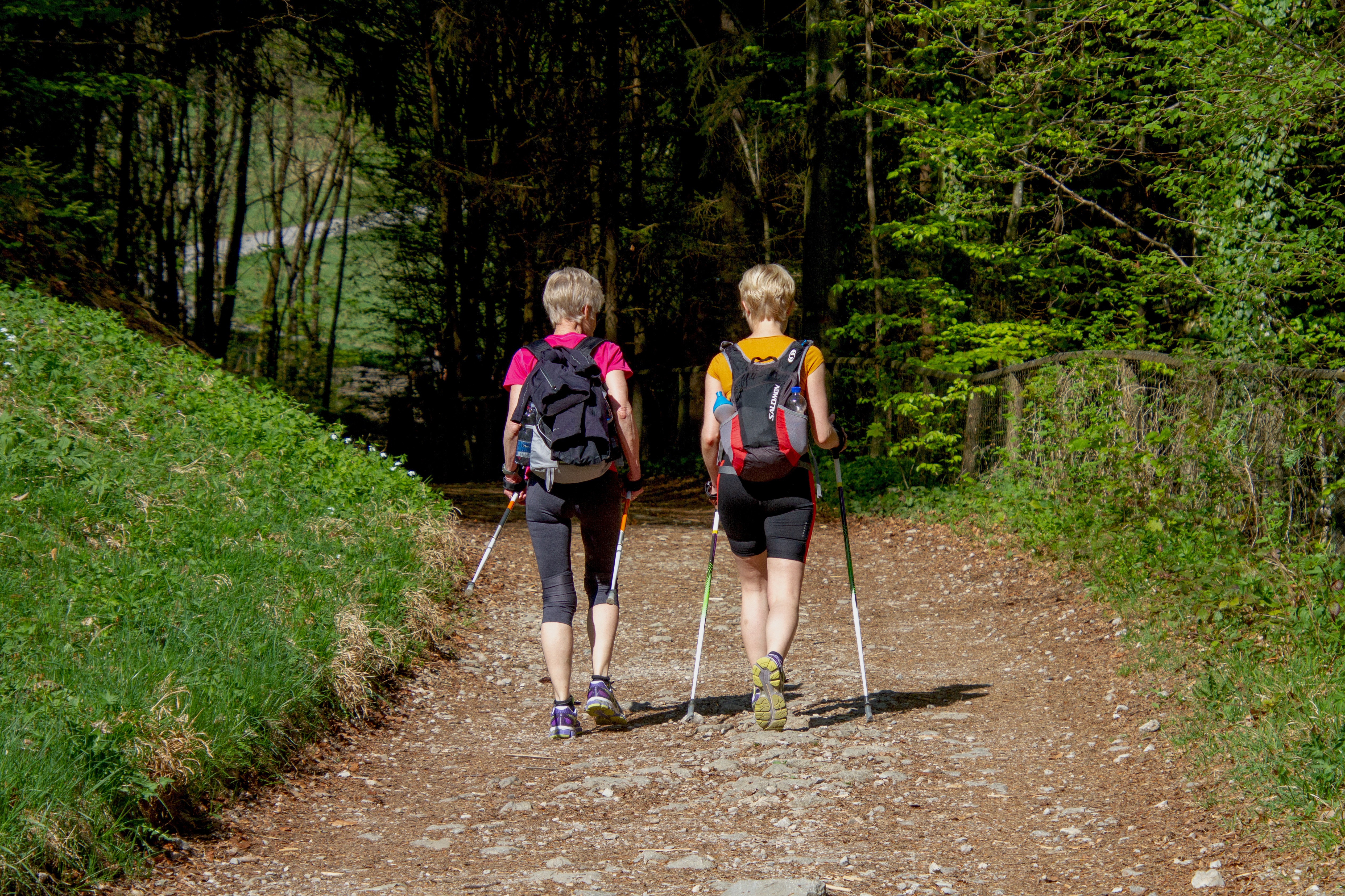 Aufwachen im Wald